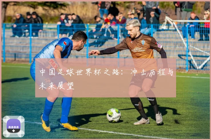 中国足球世界杯之路：冲击历程与未来展望