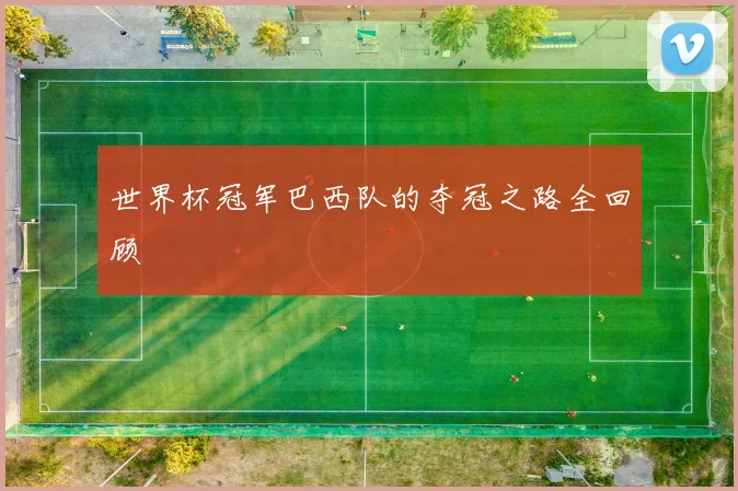 世界杯冠军巴西队的夺冠之路全回顾